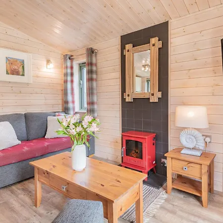 Copse - High Borrans Farm * Ings (Cumbria)