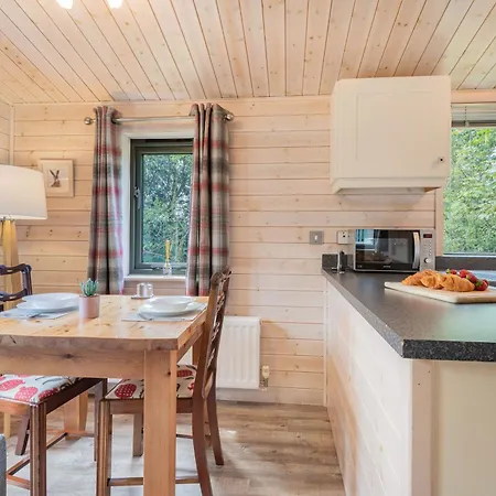 Copse - High Borrans Farm * Ings (Cumbria)